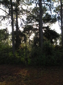 Enlarge photo 371