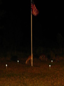 Enlarge photo 386