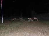 Enlarge photo 408