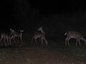 Enlarge photo 406
