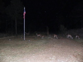 Enlarge photo 409