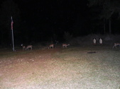 Enlarge photo 411