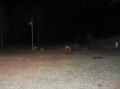 Enlarge photo 416