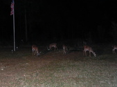 Enlarge photo 415