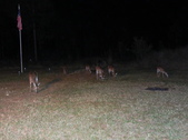 Enlarge photo 413