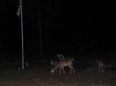 Enlarge photo 423