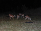 Enlarge photo 422