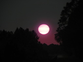 Enlarge photo 292