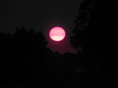 Enlarge photo 293