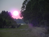 Enlarge photo 294