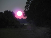 Enlarge photo 295