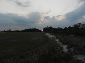 Enlarge photo 296