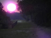 Enlarge photo 297