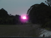 Enlarge photo 298