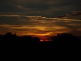 Enlarge photo 257