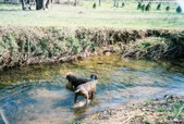 Enlarge photo 16