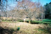 Enlarge photo 17