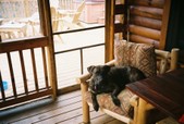 Enlarge photo 21
