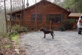 Enlarge photo 8