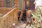 Enlarge photo 10