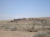 Enlarge photo 30
