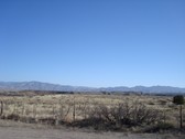 Enlarge photo 44