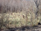 Enlarge photo 47