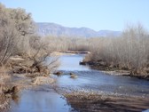 Enlarge photo 51