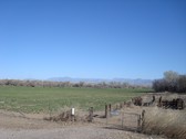 Enlarge photo 52