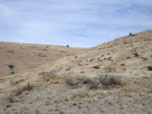 Enlarge photo 63