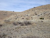 Enlarge photo 64