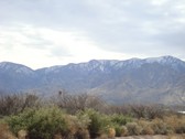 Enlarge photo 71