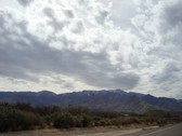 Enlarge photo 72