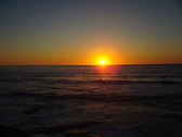 Enlarge photo 78