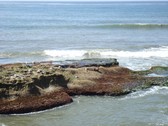 Enlarge photo 85