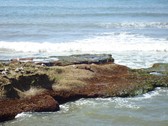 Enlarge photo 87