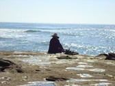 Enlarge photo 99