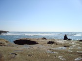 Enlarge photo 100