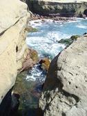 Enlarge photo 129