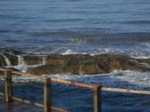 Enlarge photo 115