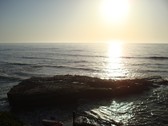 Enlarge photo 126