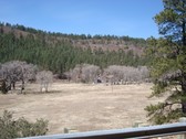 Enlarge photo 145