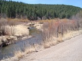 Enlarge photo 148