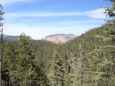Enlarge photo 169