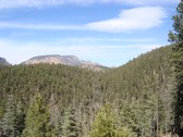 Enlarge photo 171