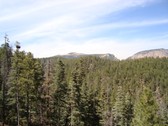 Enlarge photo 172