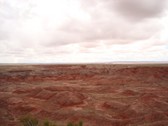 Enlarge photo 181