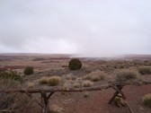 Enlarge photo 185