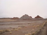 Enlarge photo 189