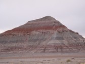 Enlarge photo 202